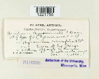 Image Associated With the Occurrence