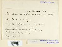 Image Associated With the Occurrence