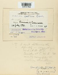 Image Associated With the Occurrence