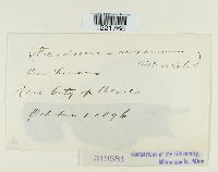 Image Associated With the Occurrence