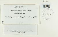 Image Associated With the Occurrence