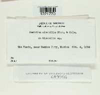 Image Associated With the Occurrence