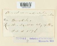 Image Associated With the Occurrence