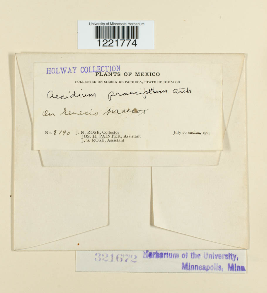 Aecidium praecipuum image