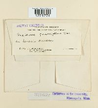 Image Associated With the Occurrence