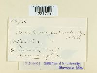 Image Associated With the Occurrence