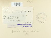 Image Associated With the Occurrence