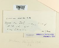 Image Associated With the Occurrence