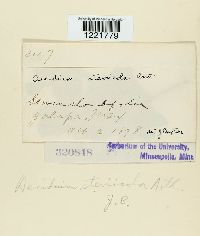 Image Associated With the Occurrence