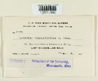 Image Associated With the Occurrence