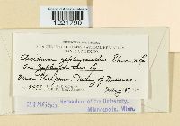 Image Associated With the Occurrence