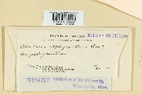 Image Associated With the Occurrence