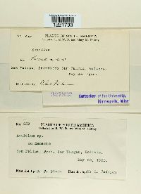 Image Associated With the Occurrence