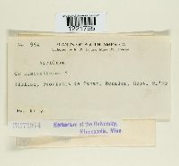 Image Associated With the Occurrence