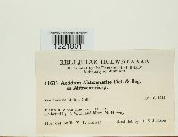 Image Associated With the Occurrence