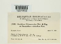 Image Associated With the Occurrence