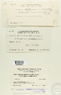 Image Associated With the Occurrence