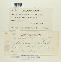 Image Associated With the Occurrence