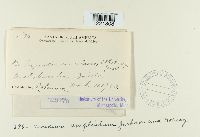 Image Associated With the Occurrence