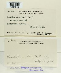 Image Associated With the Occurrence