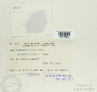 Image Associated With the Occurrence