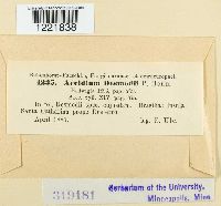 Aecidium desmodii image