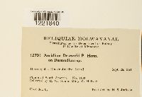 Image Associated With the Occurrence