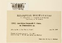 Image Associated With the Occurrence