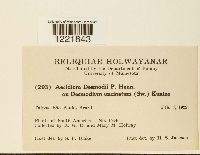 Image Associated With the Occurrence