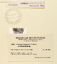 Image Associated With the Occurrence