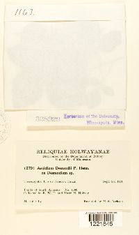 Image Associated With the Occurrence