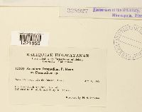 Image Associated With the Occurrence