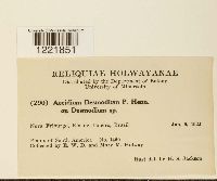 Image Associated With the Occurrence