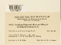 Image Associated With the Occurrence