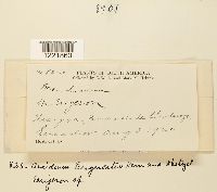 Image Associated With the Occurrence