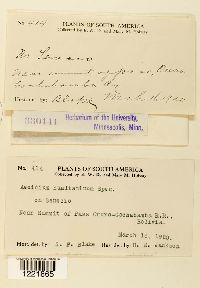 Image Associated With the Occurrence