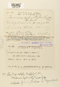 Image Associated With the Occurrence