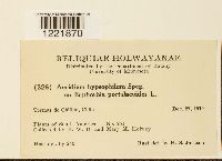 Image Associated With the Occurrence