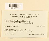 Image Associated With the Occurrence