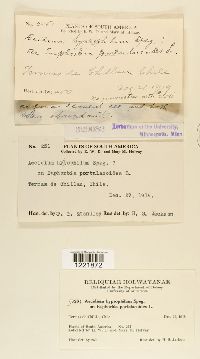 Image Associated With the Occurrence