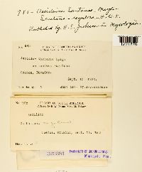 Image Associated With the Occurrence