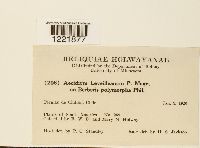 Image Associated With the Occurrence