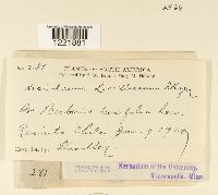 Image Associated With the Occurrence