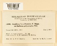 Image Associated With the Occurrence