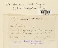 Image Associated With the Occurrence