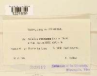 Aecidium mexicanum image