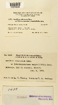 Image Associated With the Occurrence