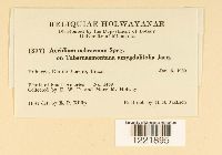 Image Associated With the Occurrence