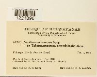 Image Associated With the Occurrence