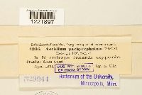 Image Associated With the Occurrence